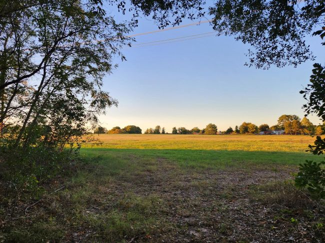 0 County Rd, Home with 0 bedrooms, 0 bathrooms and null parking in Eustace TX | Image 10
