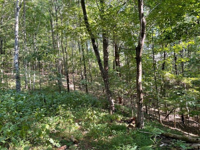 76 Tally Cove Rd, Home with 0 bedrooms, 0 bathrooms and null parking in Jasper GA | Image 4