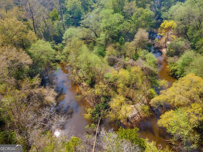 4103 Hadley Ferry Rd, House other with 2 bedrooms, 3 bathrooms and null parking in CAIRO GA | Image 33