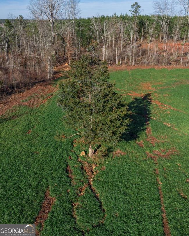 LOT-11 - 0 Jordan Bottoms Road, Home with 0 bedrooms, 0 bathrooms and null parking in Culloden GA | Image 10