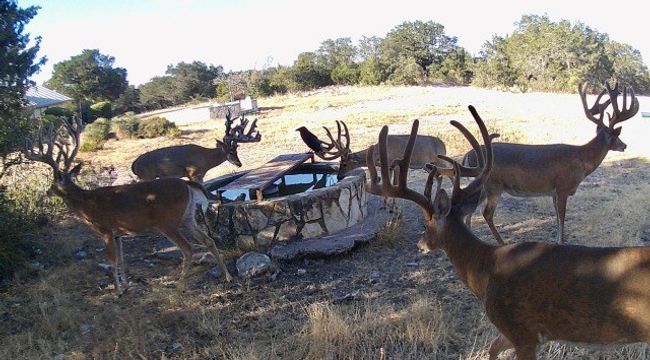 290 Dominion Road, Home with 0 bedrooms, 0 bathrooms and null parking in Mountain Home TX | Image 5
