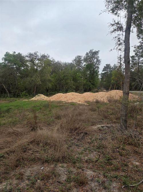 127 Sequoia Trl, Ocklawaha, FL, 32179-4379 | Card Image