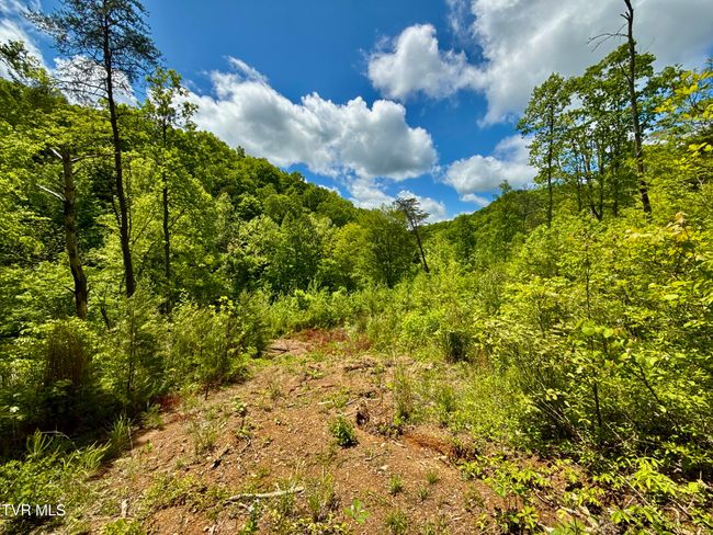 47 Tbd Enoch Rd, Home with 0 bedrooms, 0 bathrooms and null parking in Eidson TN | Image 16