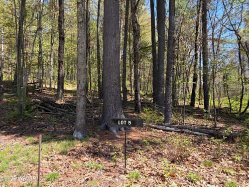 lot-5-PARCEL 112 Tallman Hollow Rd, Montoursville, PA, 17754 | Card Image