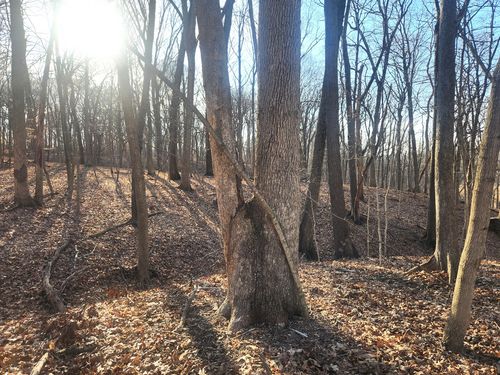 Lot 1764 Sunflower Dr, Varna, IL, 61375 | Card Image