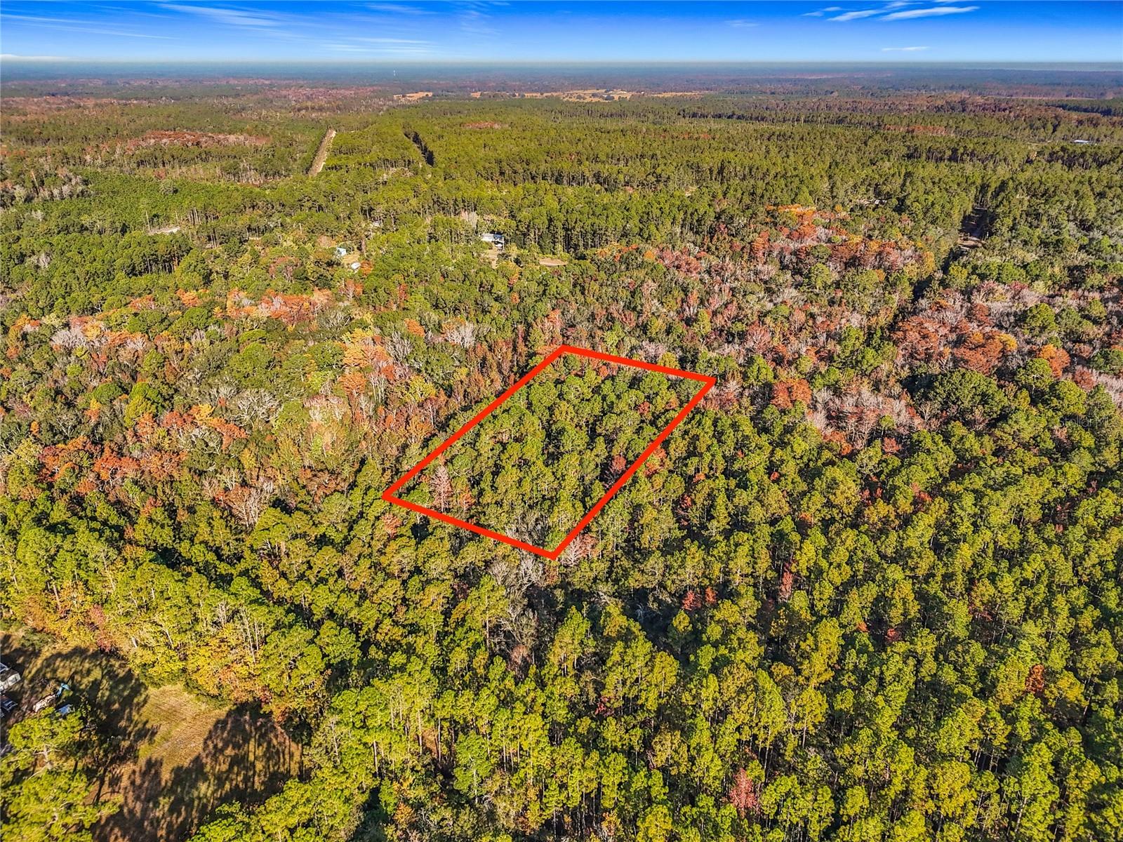 Land in PALATKA 2