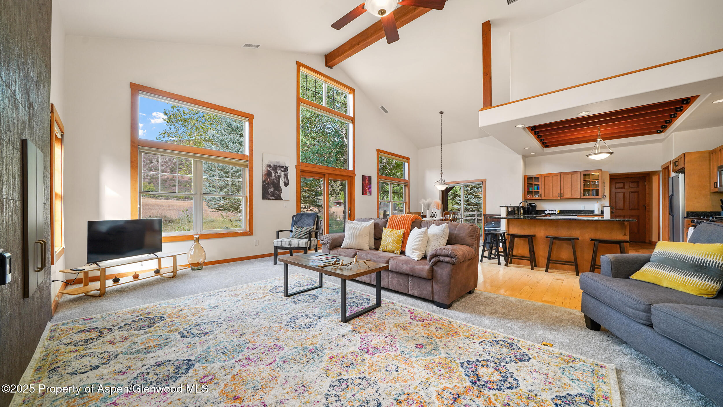 Residential in Glenwood Springs 3