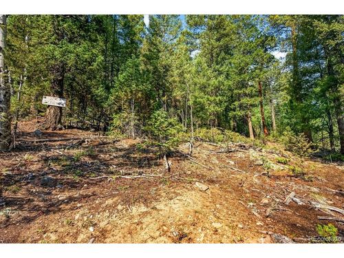 12907 S Cindy Ave, Pine, CO, 80470 | Card Image