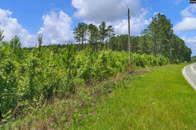0000 N Brewington Rd, Home with 0 bedrooms, 0 bathrooms and null parking in Manning SC | Image 74