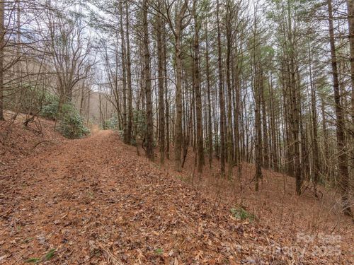 00 Bald Creek Rd, Clyde, NC, 28721 | Card Image