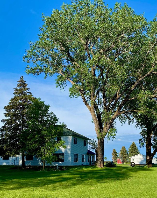 Well groomed property | Image 4
