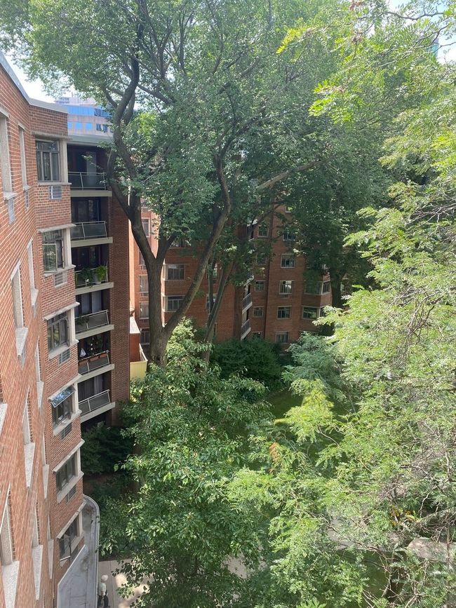 1866 Sherman Ave Unit 7N, Evanston, IL 60201 | Image 38