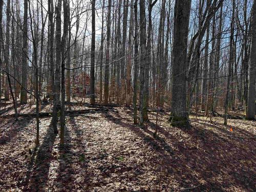 Lot 39 Schutzen Lane, Custer Township, MI, 49615 | Card Image
