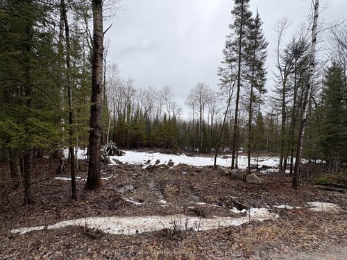 PT E1/2 Hillcrest Rd, Astorville, ON, P0H1B0 | Card Image