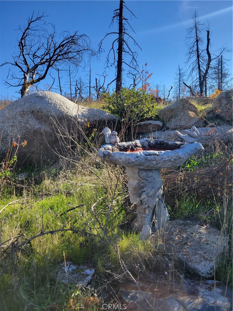 Land in Berry Creek 5