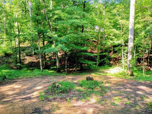 00 Short Oak Rd, CHATSWORTH, GA, 30705 | Card Image