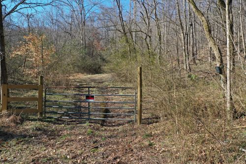 0 Dog Branch Rd, Mount Pleasant, TN, 38474 | Card Image