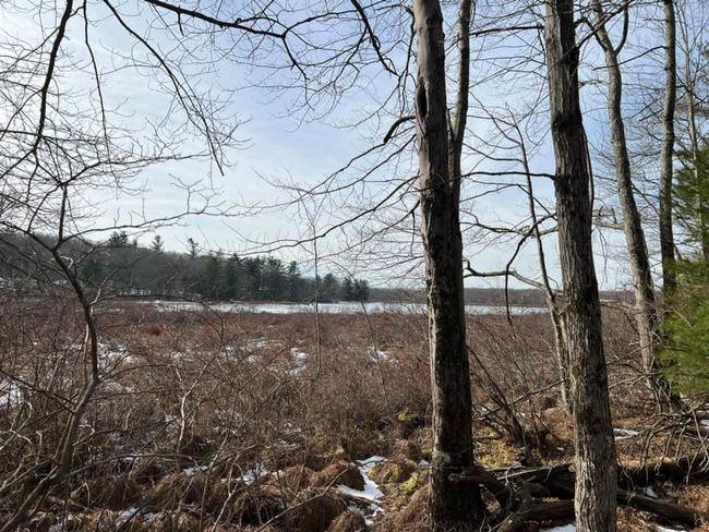 2 Acre Parcel with Lake Rights and Views | Image 17