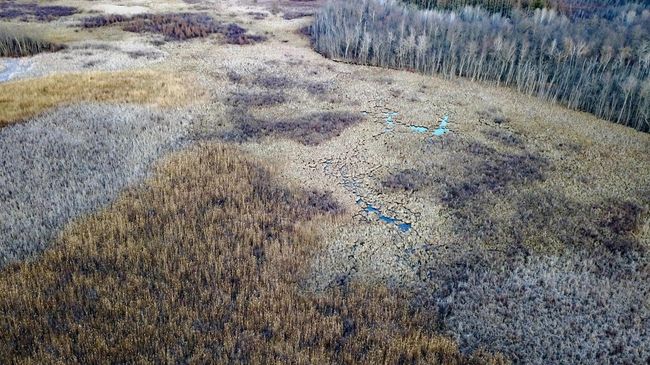 Marshland.jpg | Image 8