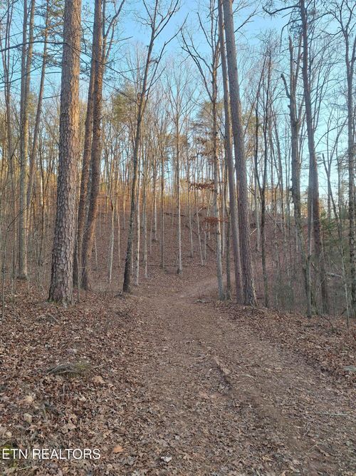 Lot 1 Mecca Pike, Tellico Plains, TN, 37385 | Card Image