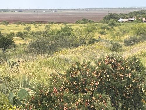 TBD4 County Road 405, Merkel, TX, 79536 | Card Image