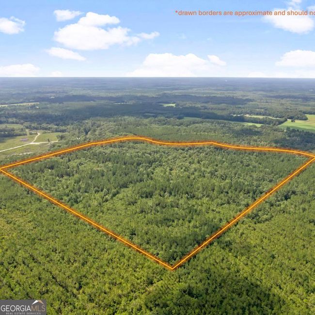 0 Roberson Rd, Home with 0 bedrooms, 0 bathrooms and null parking in Hortense GA | Image 8