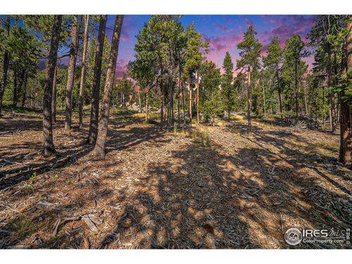 231 Granite Dr, Drake, CO, 80515 | Card Image