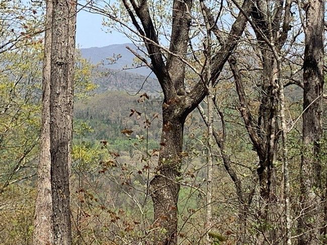 91 - 43 Old Burnt Mountain Rd, Home with 0 bedrooms, 0 bathrooms and null parking in Ellijay GA | Image 24