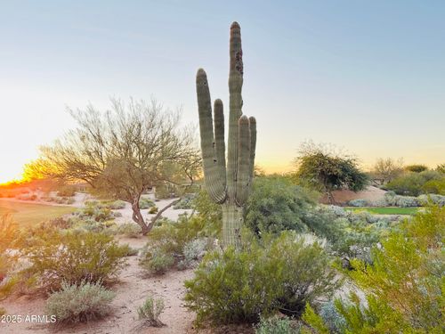 19838 N 84th St, Scottsdale, AZ, 85255-3964 | Card Image