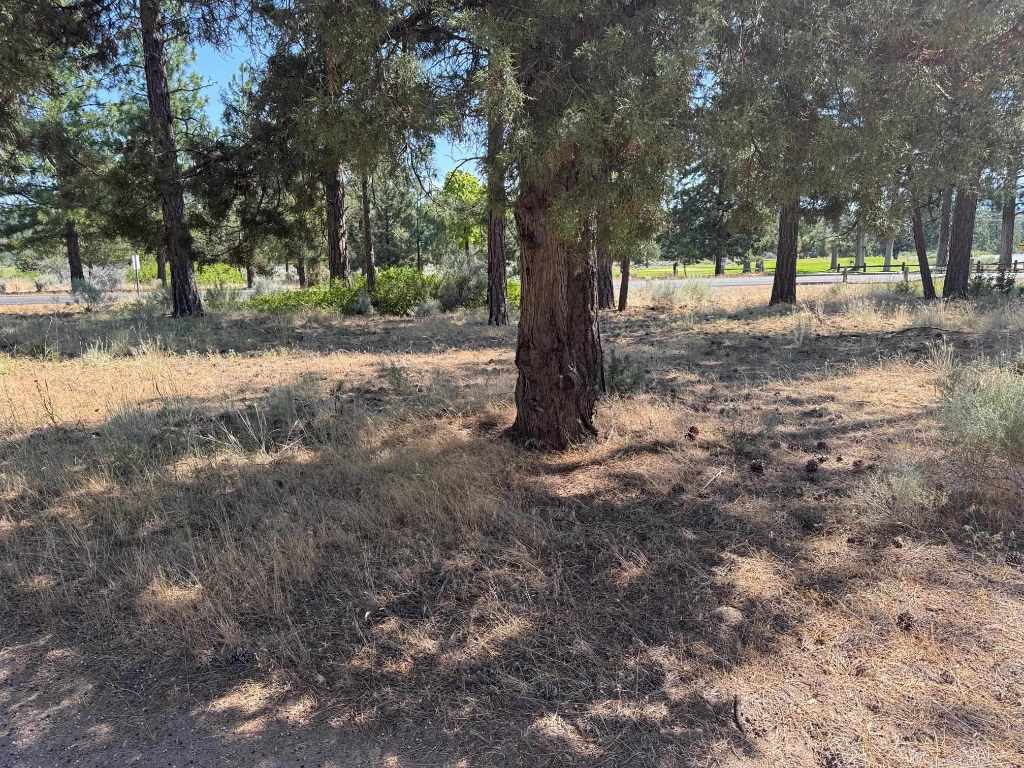 Land in Weed 3