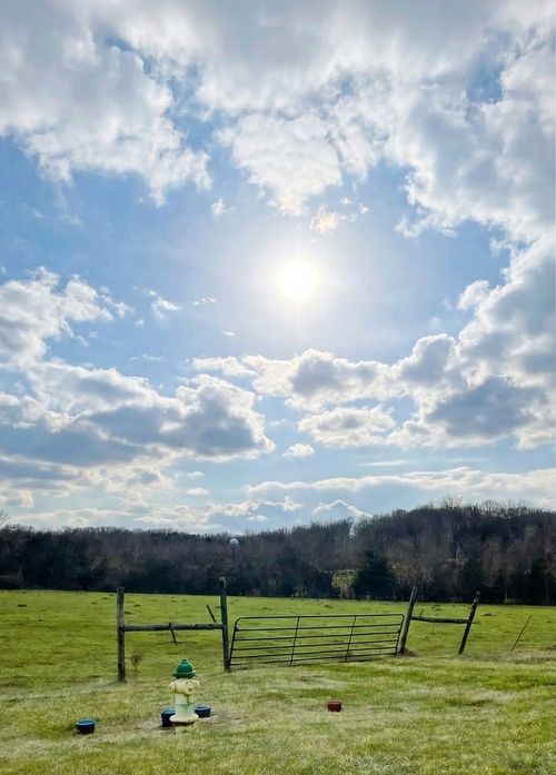 0 Versailles Rd, Rockvale, TN, 37153 | Card Image