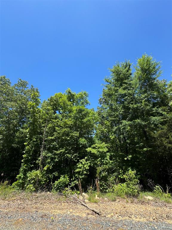 Land in Watson 4