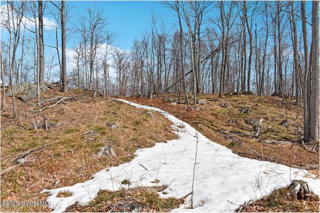 48 Durkin Rd, Home with 0 bedrooms, 0 bathrooms and null parking in North Creek NY | Image 57