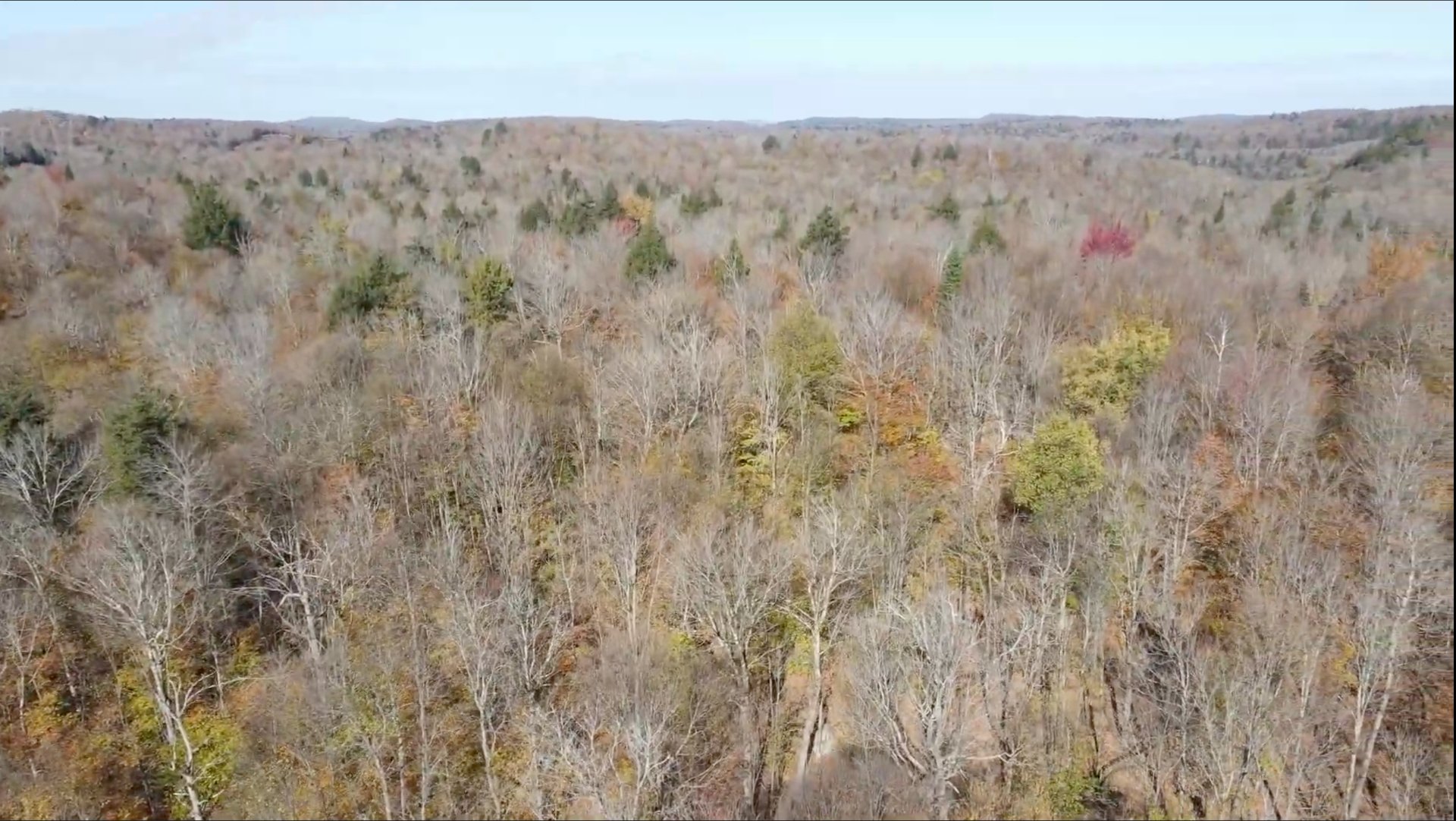 Land in Wentworth