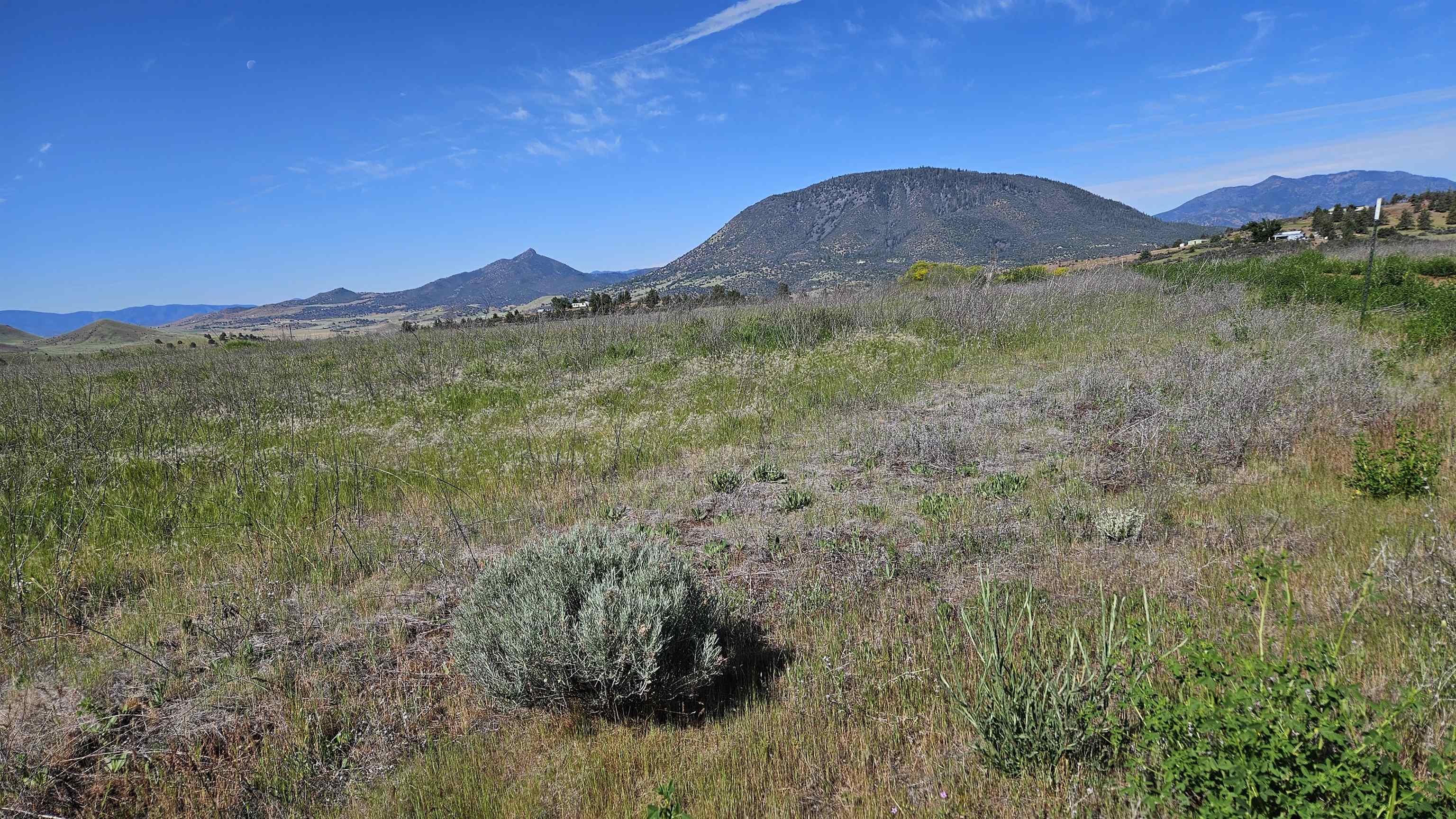 Land in Montague