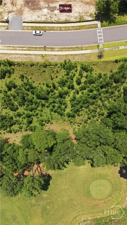 Land in Pooler 4