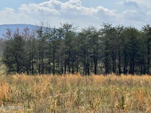 0 Knox, Crossville, TN, 38555 | Card Image