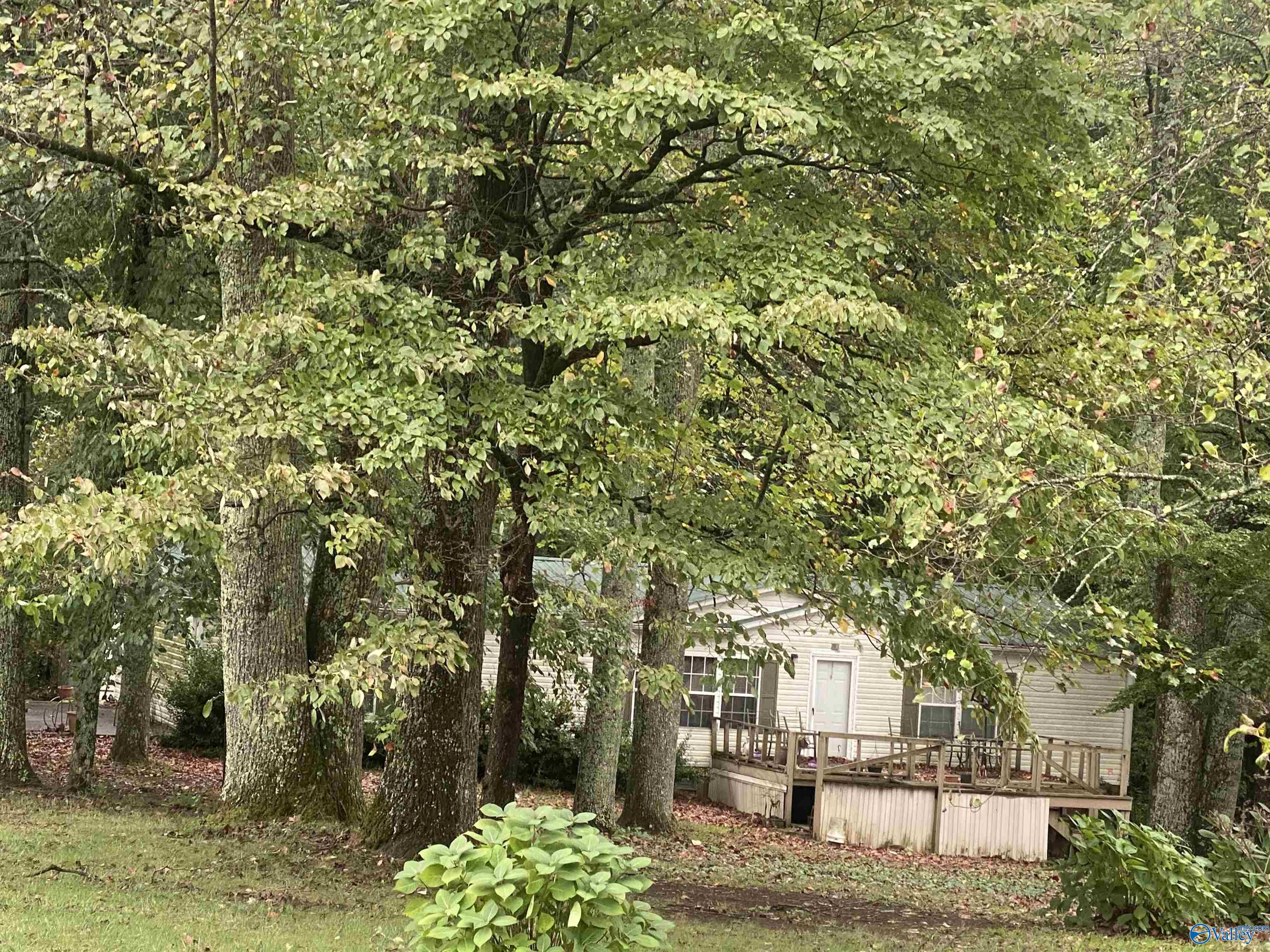 County Road 195 , Scottsboro, AL 35768