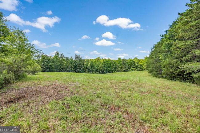 177 E Silver Shoals Rd, House other with 3 bedrooms, 2 bathrooms and null parking in Toccoa GA | Image 41