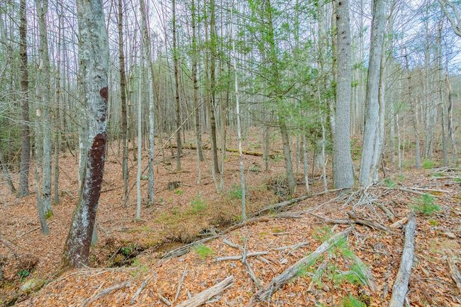000 Miriam Road, Home with 0 bedrooms, 0 bathrooms and null parking in Dugspur VA | Image 12
