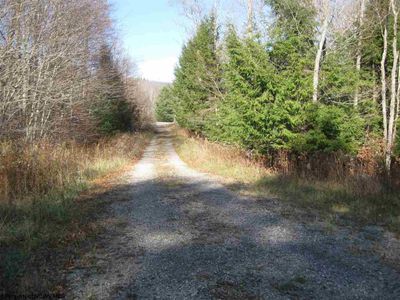 lot 49 Mountain View Road Drive, Home with 0 bedrooms, 0 bathrooms and null parking in Davis WV | Image 1