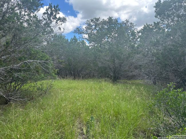 275 Serenity Pass, Home with 0 bedrooms, 0 bathrooms and null parking in Spring Branch TX | Image 4