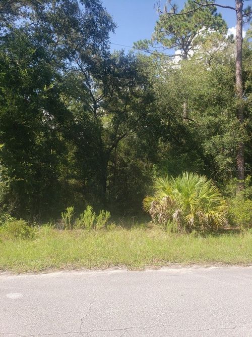 2949 W Grapevine Ct, DUNNELLON, FL, 34433-3010 | Card Image