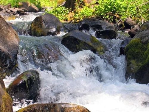 1 Woodcutters Way, Manton, CA, 96059 | Card Image