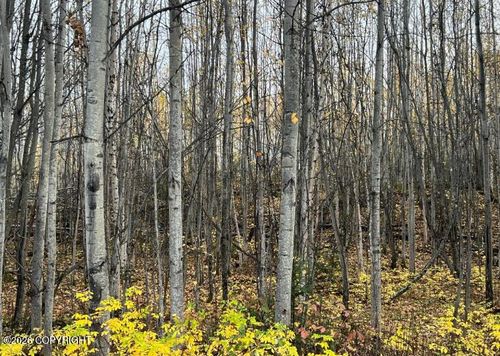 5082 S Horseshoe Lake Rd, Big Lake, AK, 99623 | Card Image