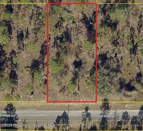 0 Thrasher Ave, BROOKSVILLE, FL, 34614 | Card Image