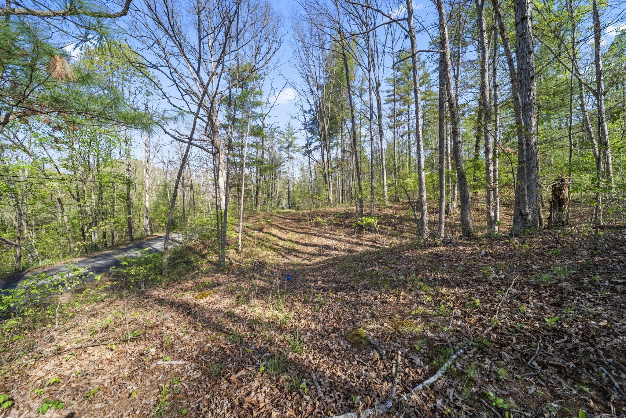 Land in Chillicothe 5
