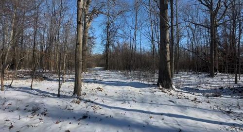 7021 Palms Road Road, Ira Township, MI, 48023 | Card Image