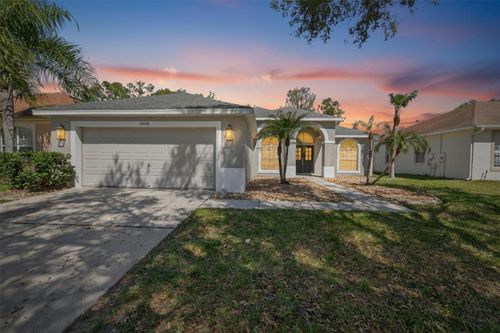 10018 Cannon Dr, RIVERVIEW, FL, 33578-8335 | Card Image