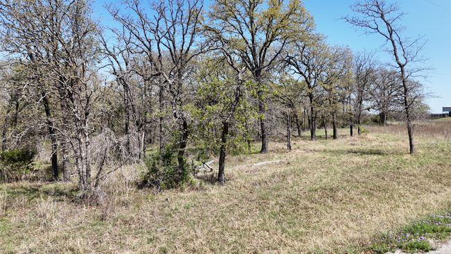 280 Private Road 2162, Home with 0 bedrooms, 0 bathrooms and null parking in Iredell TX | Image 10